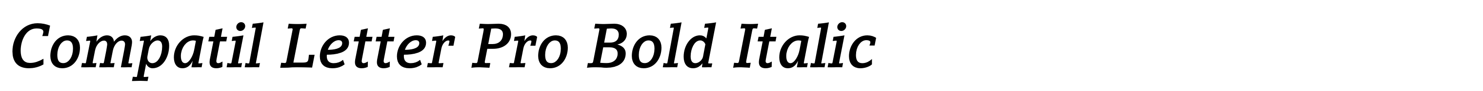 Compatil Letter Pro Bold Italic